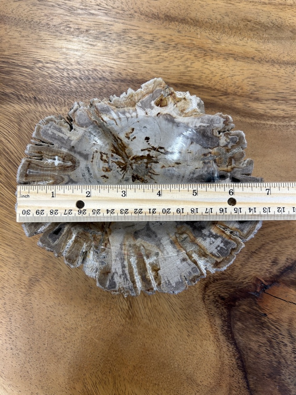 Petrified Wood Decorative Bowl - Picture 5 of 17